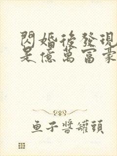 闪婚后发现老公是亿万富豪(小说)