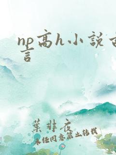np高h小说古言
