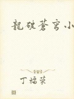 龙破苍穹小说