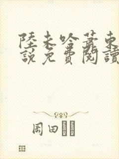 陆未吟萧东霆小说免费阅读