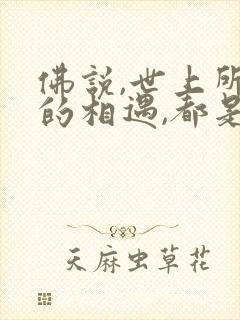 佛说,世上所有的相遇,都是命中注定