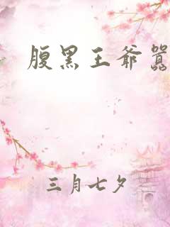 腹黑王爷嚣张妻