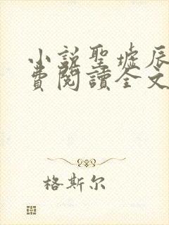 小说圣墟辰东免费阅读全文无窗口