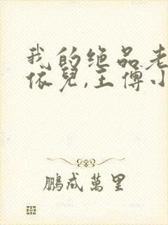 我的绝品老师柳依儿,王傅小说阅读