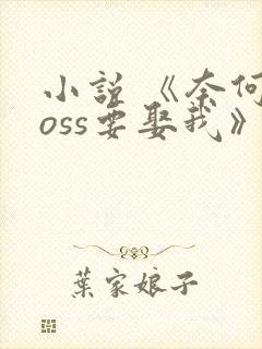 小说 《奈何boss要娶我》