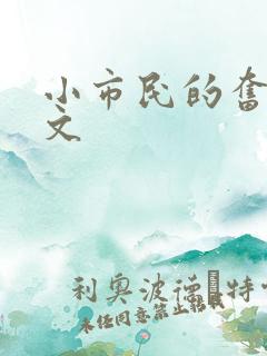 小市民的奋斗燃文