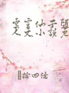 云霄仙子堕落同人文小说免费阅读下