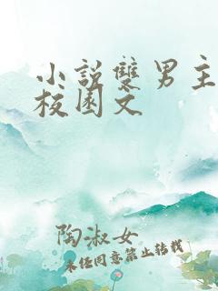 小说双男主推荐校园文