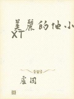 美丽的他小说TXT