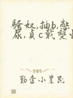 骚奴,抽b,憋尿,贞c戴双性