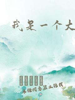 我是一个大盗贼