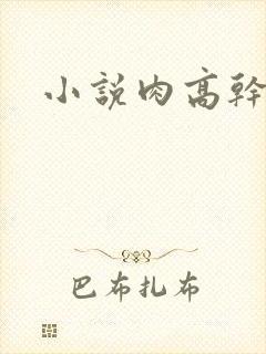 小说肉高干h