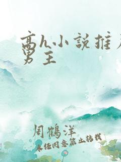 高h小说推荐双男主