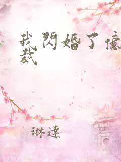 我闪婚了亿万总裁