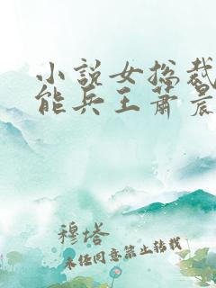 小说女总裁的全能兵王萧晨免费阅读全文