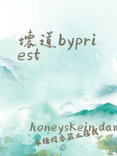 坏道bypriest