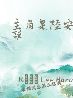 主角是陆安的小说