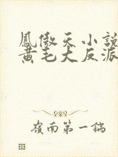 凤傲天小说里的黄毛大反派也想要幸