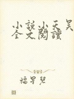 小说小天吴阿姨全文阅读