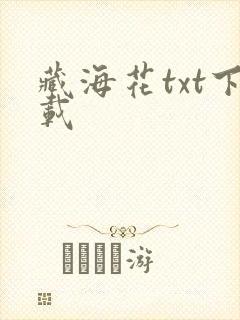 藏海花txt下载