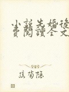 小说先婚后爱免费阅读全文