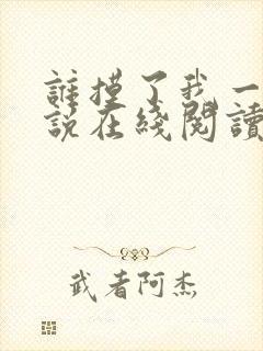 谁摸了我一下小说在线阅读