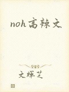 noh高辣文