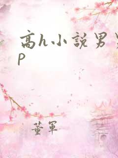 高h小说男男np