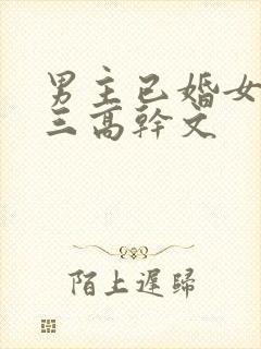 男主已婚女主小三高干文