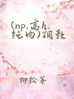 (np,高h,纯肉)调教