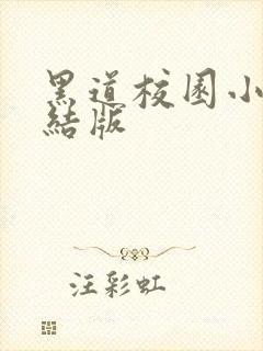 黑道校园小说完结版