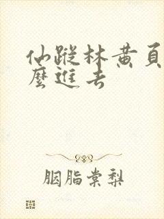 仙踪林黄页网怎么进去