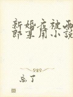 新婚夜被两个伴郎享用小说