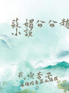 苏媚公公赵大宝小说