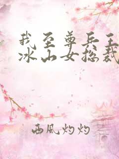 我至尊兵王闪婚冰山女总裁