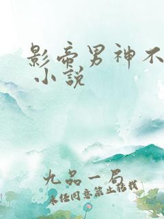 影帝男神不节制 小说