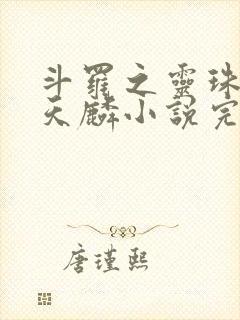 斗罗之灵珠神剑天麟小说完整版txt