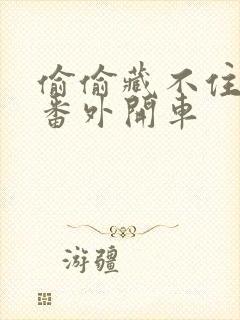 偷偷藏不住婚后番外开车