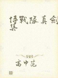 侍战队真剑者全集