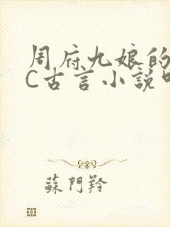 周府九娘的NPC古言小说叫什么