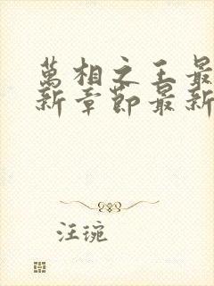 万相之王最新更新章节最新