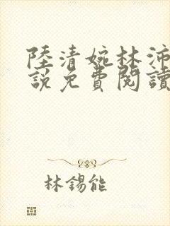 陆清婉林沛琛小说免费阅读最新章节