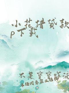 小花借贷款app下载