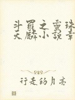 斗罗之灵珠神剑天麟小说章节目录