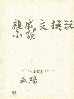 亲戚交换玩美妇小说