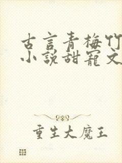 古言青梅竹马的小说甜宠文