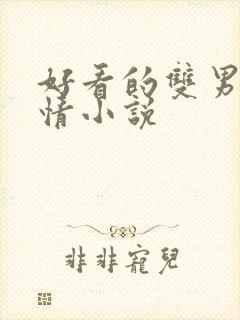 好看的双男主言情小说