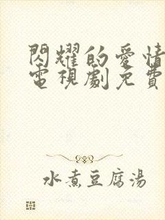 闪耀的爱情韩剧电视剧免费播放全集高清