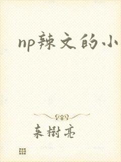 np辣文的小说