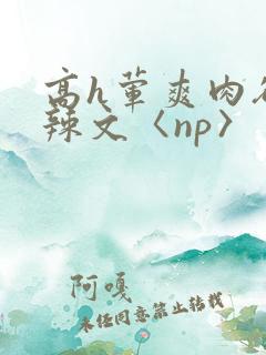 高h荤爽肉欲文辣文〈np〉